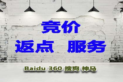 竞价广告案例分享：XX电商平台的成功秘诀
