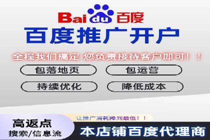 竞价广告赚钱：百度平台成功案例分析